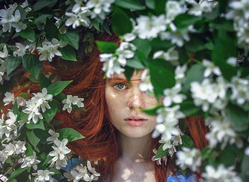 Hidden Clues