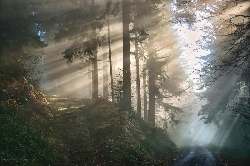 Mystical Narrations